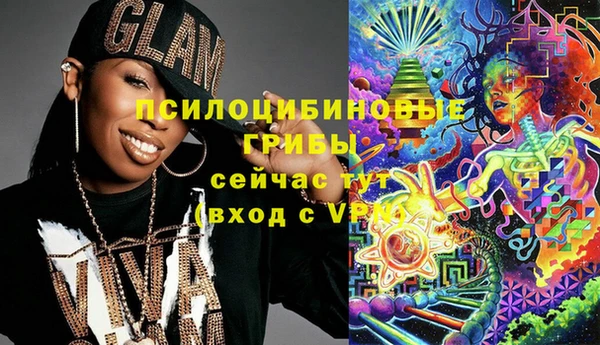 дурь Алексин