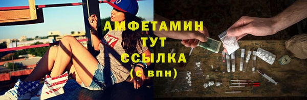 ECSTASY Алзамай
